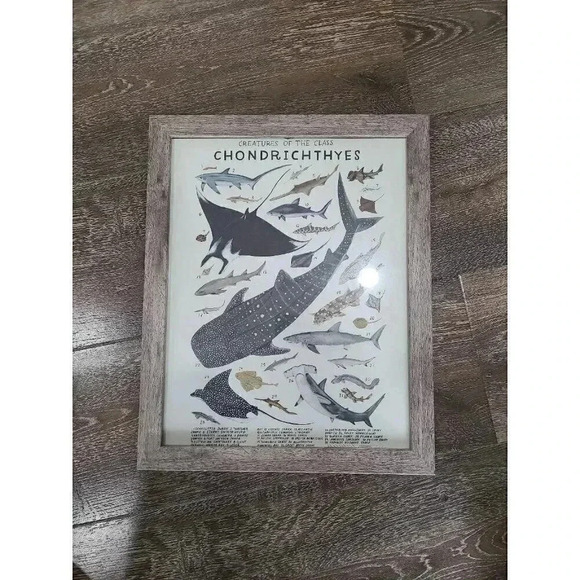 Shark boys room art 12‎ x 15 - Picture 1 of 3